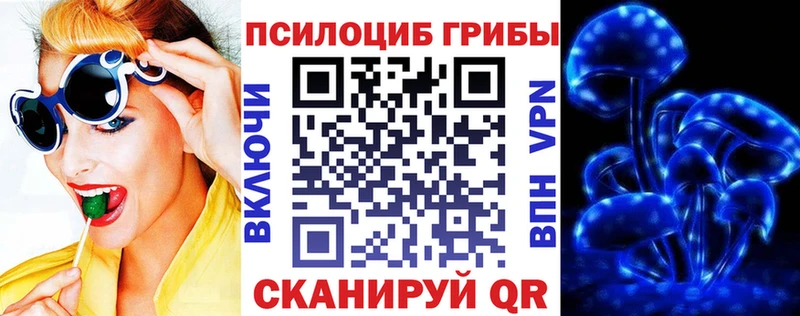 Галлюциногенные грибы Psilocybe  KRAKEN рабочий сайт  Камышлов 