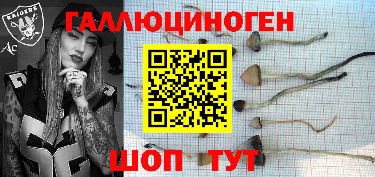 Галлюциногенные грибы мицелий Камышлов