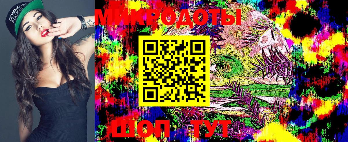 Галлюциногенные грибы ЛСД  Галлюциногенные грибы Magic Shrooms  Вход с VPN  Камышлов 
